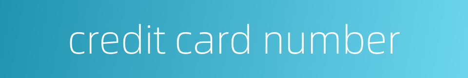 credit card number的同义词