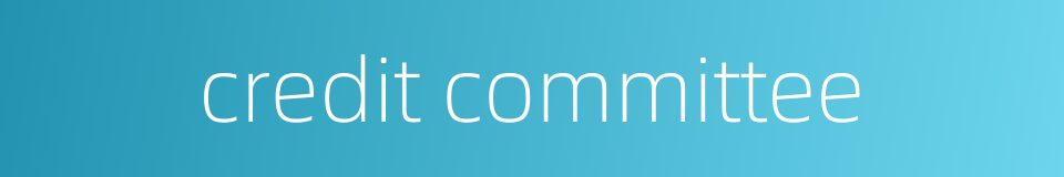 credit committee的同义词