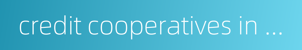 credit cooperatives in both urban and rural areas的同义词