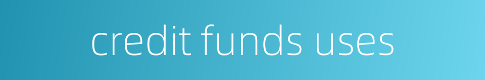 credit funds uses的同义词