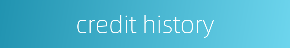 credit history的同义词
