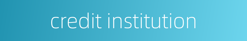 credit institution的同义词