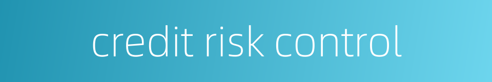 credit risk control的同义词