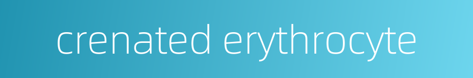 crenated erythrocyte的同义词