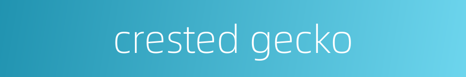 crested gecko的同义词