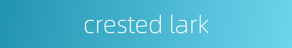 crested lark的同义词
