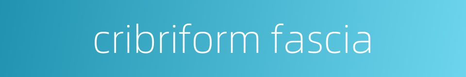 cribriform fascia的同义词