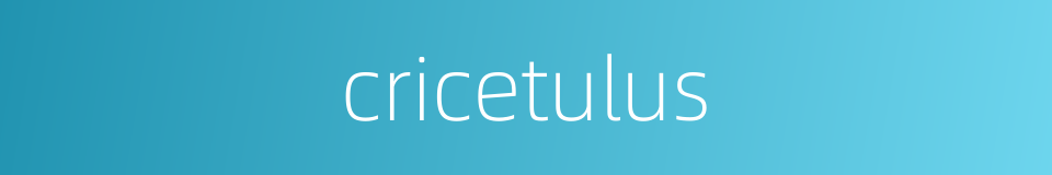 cricetulus的同义词