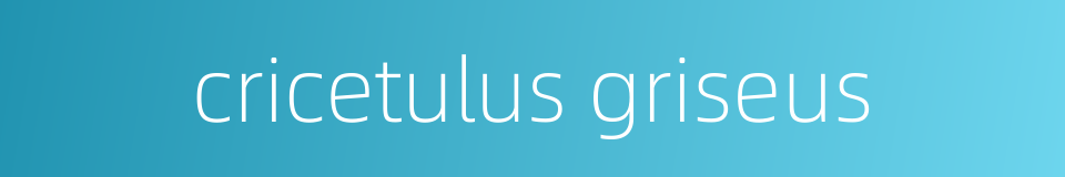 cricetulus griseus的同义词