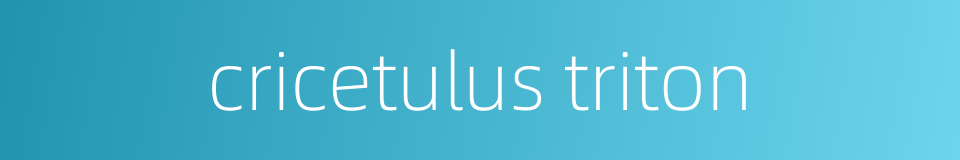cricetulus triton的同义词