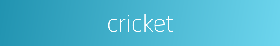 cricket的同义词