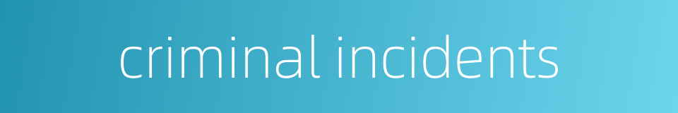 criminal incidents的同义词