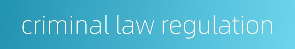 criminal law regulation的同义词