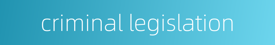 criminal legislation的同义词