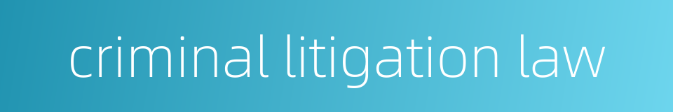 criminal litigation law的同义词