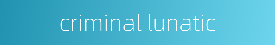 criminal lunatic的同义词