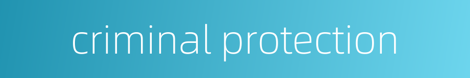 criminal protection的同义词