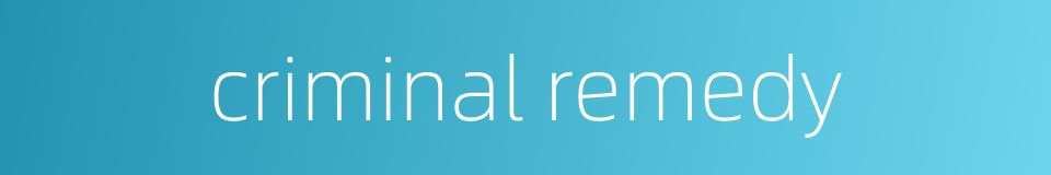 criminal remedy的同义词