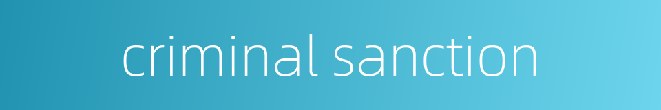criminal sanction的同义词
