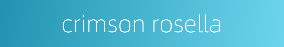 crimson rosella的同义词