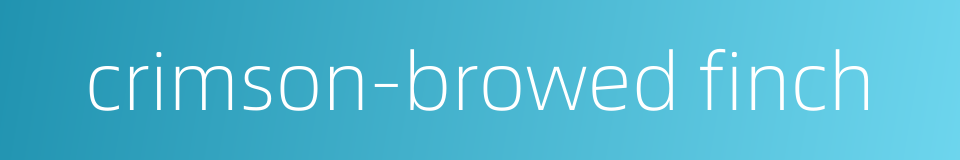 crimson-browed finch的同义词