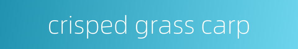 crisped grass carp的同义词