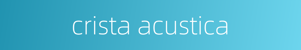 crista acustica的同义词