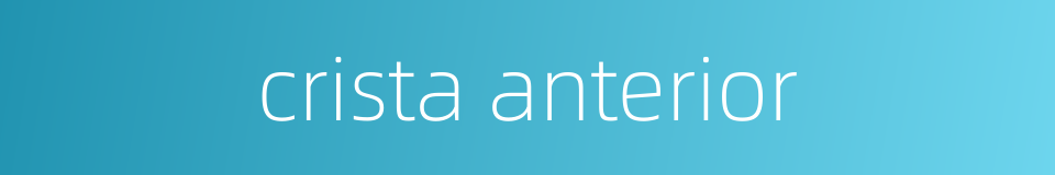 crista anterior的同义词