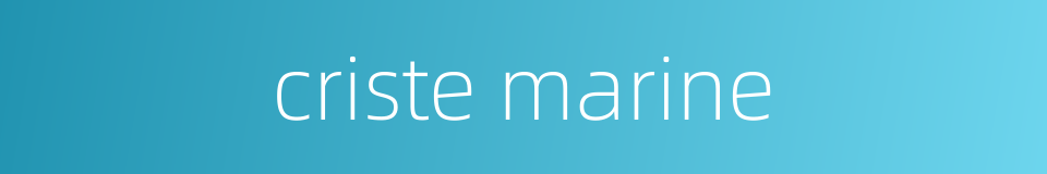 criste marine的同义词
