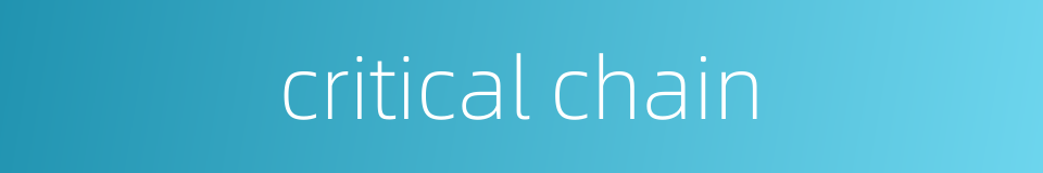 critical chain的同义词