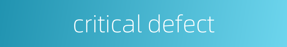 critical defect的同义词
