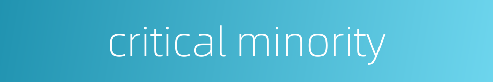 critical minority的同义词