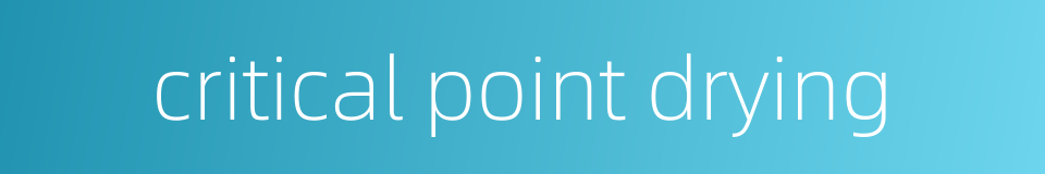 critical point drying的同义词