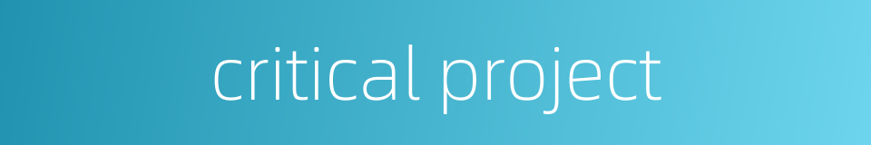 critical project的同义词