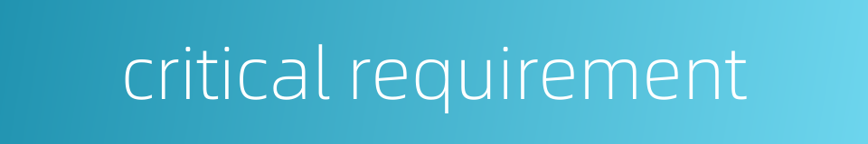 critical requirement的同义词