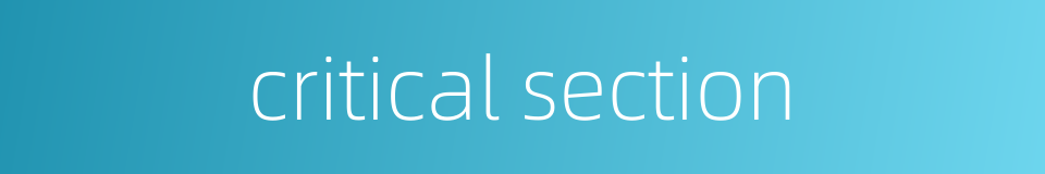 critical section的同义词