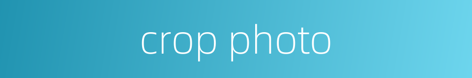 crop photo的同义词
