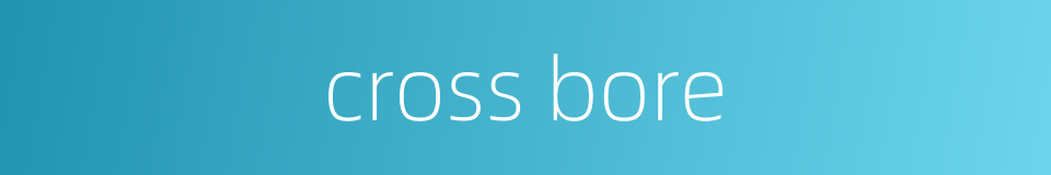 cross bore的同义词