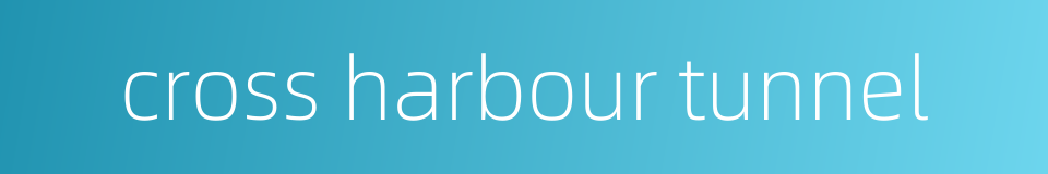 cross harbour tunnel的同义词