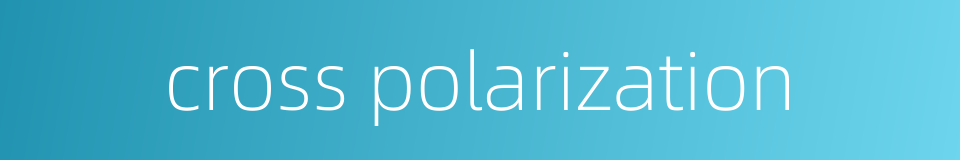 cross polarization的同义词