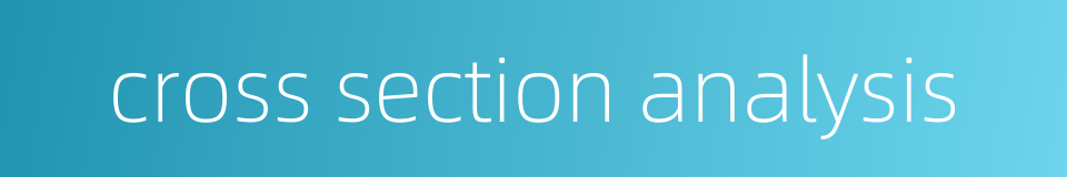 cross section analysis的同义词