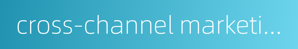 cross-channel marketing的同义词