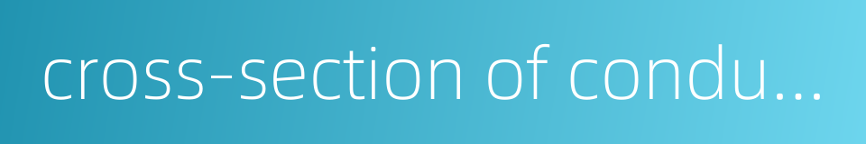 cross-section of conductor的同义词