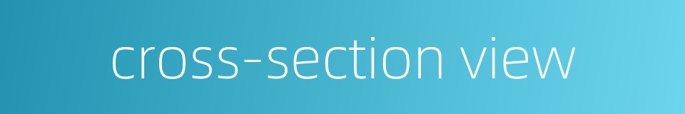 cross-section view的同义词