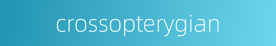 crossopterygian的同义词