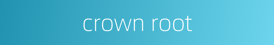 crown root的同义词