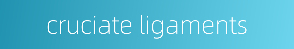 cruciate ligaments的同义词