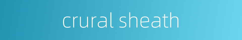 crural sheath的同义词