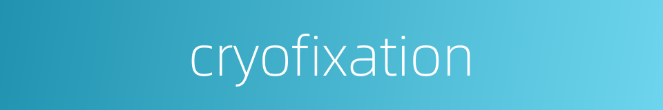 cryofixation的同义词