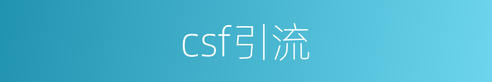 csf引流的同义词